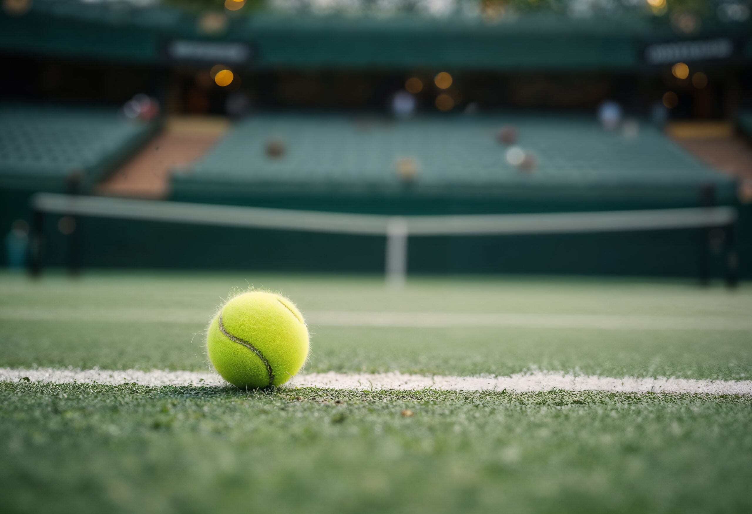 Live Wimbledon tennis action with match statistics and betting analysis