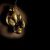 premium-boxing-tips premium-boxing-tips